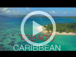 Tobago VIDEO  FREE Coaching and 2 for 1 Rentals